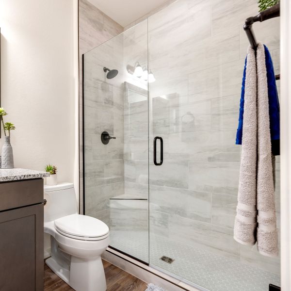 Tub To Shower Conversion